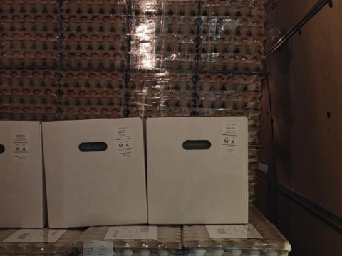 Politie haalt overbeladen bestelbus van de weg, blijkt gevuld met... eieren!