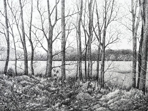 Hijmen van Keulen exposeert in de Groene Luiken