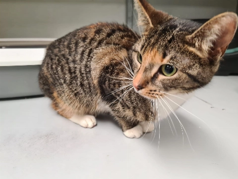 Wie kent deze jongedame?