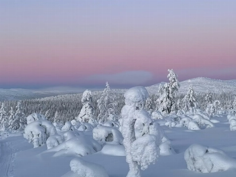 Lapland in een paar dagen? Het kan echt vanaf Rotterdam!