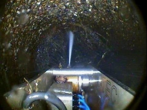 Onderhoud aan hoofdriool Holy