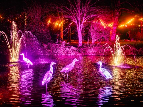 Vlaardingen straalt… met water als magisch lichtspel!