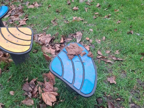 Ingezonden: hondenpoep of...