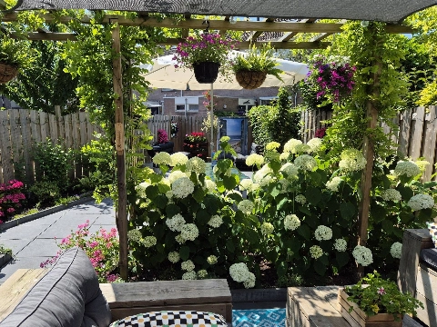 Gezonde bodem, sterke planten: waarom natuurlijke voeding steeds populairder wordt