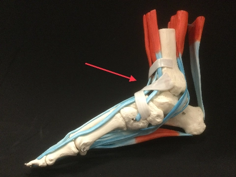 Wat is het effect van een blokkade in de voet?