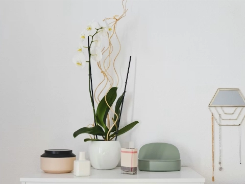 Sfeer in huis: zo pak je dat aan zonder grote verbouwing