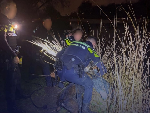 Autodief maakt in Vlaardingen kennis met politiehond Goofy