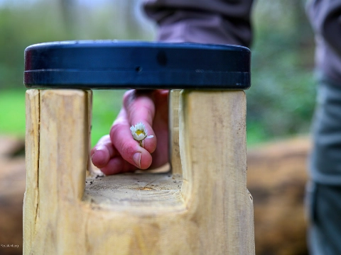 Klauterwoud krijgt magische loep voor kleine ontdekkers