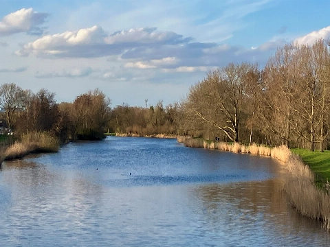 Vlaardingen versterkt stadsnatuur tot groen netwerk