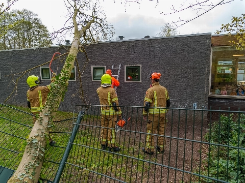Boom valt op dak van kinderdagverblijf in Vlaardingen