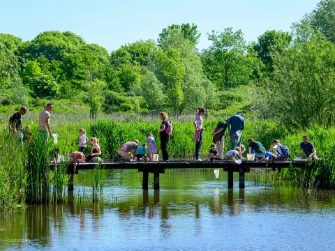Op ontdekkingstocht tijdens Slootjesdag in de Broekpolder