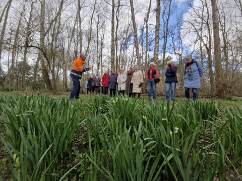 Uit je bol van het voorjaar?