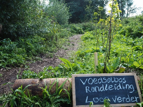 Rondleiding door Voedselbos Vlaardingen