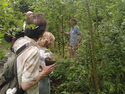 Rondleiding door het Voedselbos