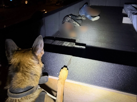 Politiehond Mac vindt twee inbrekers op bouwterrein
