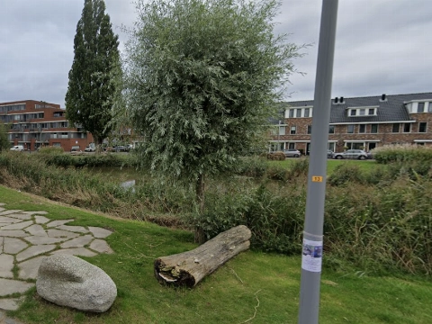 PRO Vlaardingen stelt vragen over snoeiwerkzaamheden na dood egel en vernielde vogelnesten
