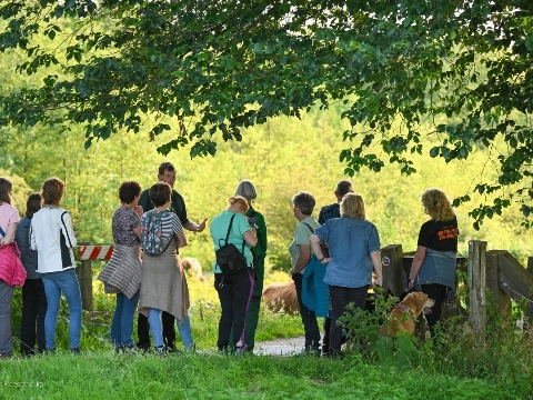 Wandelen in de Broekpolder