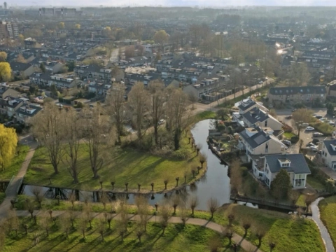 65 bomen op de kaplijst in Holy: VVD vraagt college om uitleg