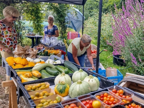 Oogstmarkt en Open Akker bij Stadslandbouw Van Ruytenburch