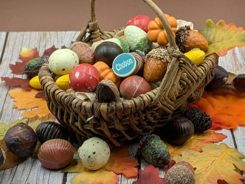 Proef de herfst bij Chobon!