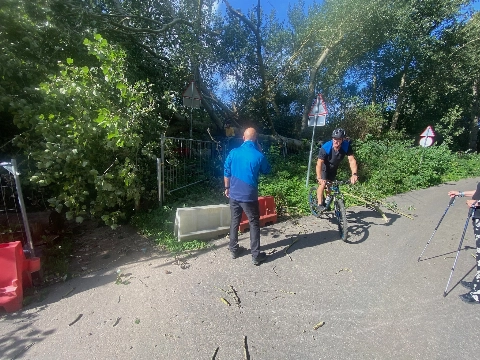 Wandelaars moeten duiken voor vallende boom