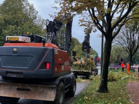 Gemeente kapt 44 bomen langs Holysingel