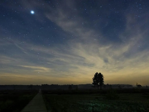 Wandelen door de donkere Broekpolder tijdens Nacht van de Nacht