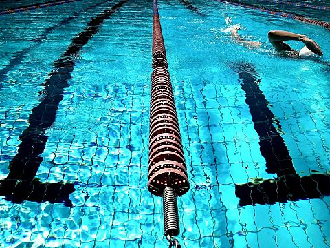 Zwemmers ZVVS grossieren in medailles