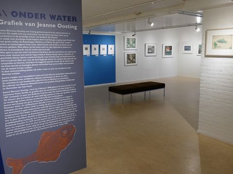Museum Maassluis gaat ‘Onder Water’ met Jeanne Oosting
