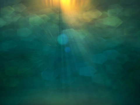 Lukt het niet vandaag? Het is Blue Monday!