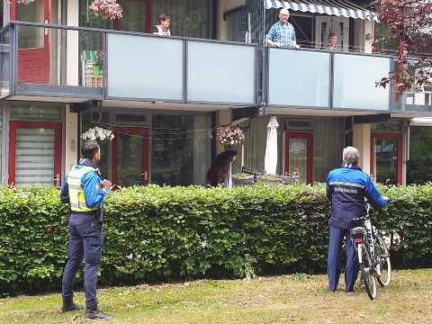 Burgemeester met Handhaving op stap