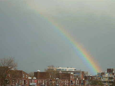 Regenboog boven Maassluis