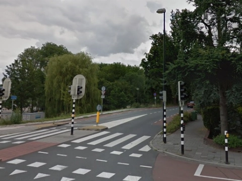 Bewoners Prinses Julianalaan: &lsquo;Snelheidsdisplays hangen er voor de show&rsquo;