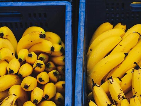 Douane vindt 585 kilo cocaïne tussen bananen