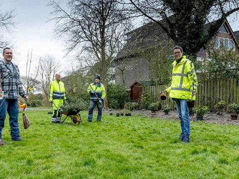 Nieuwe struiken en bomen in een openbare groenstrook
