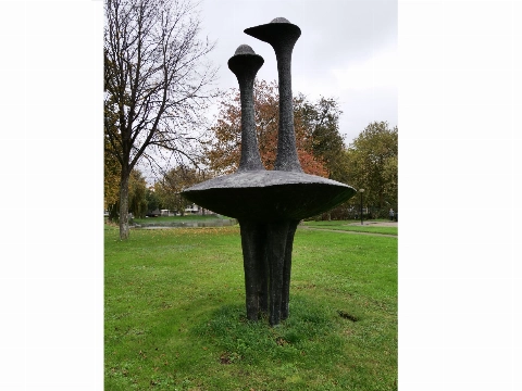 Kunstwerk van de Maand juni 2021: Twee Plevieren