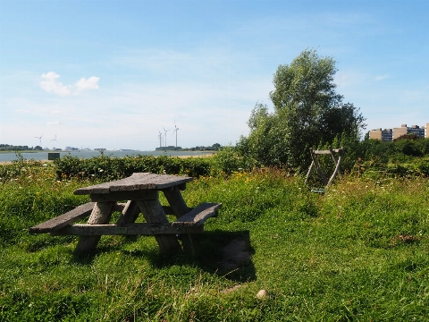 Natuurfeest in Maassluis