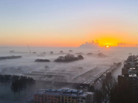 Mistige ochtend prachtig vastgelegd