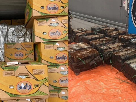 Douane onderschept 1099 kilo coca&iuml;ne tussen bananen