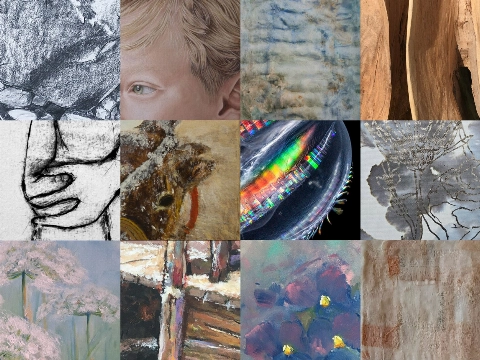 NIEUW werk van 13 Maassluise Kunstenaars in Douanehuisje