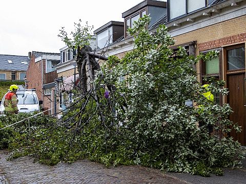 Boom op Van Emdenstraat afgebroken door wind
