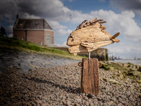 Kunst van drijfhout en fotografie in het Douanehuisje