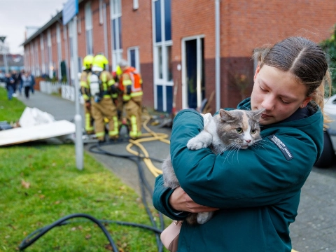 Poes gered na brand in meterkast van woning in Maassluis