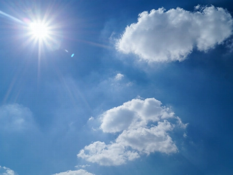 Zomer in Maassluis: samen maken we er een mooie tijd van
