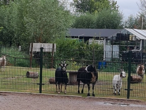 Dierenhoek Lepelaarplantsoen blijft bestaan