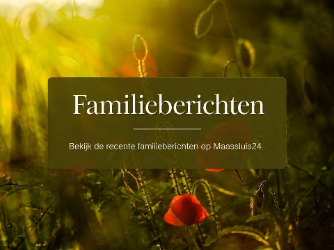 Maassluis24 plaatst gratis familieberichten!
