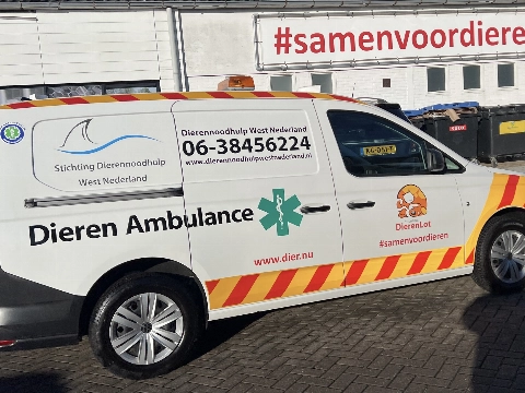 Dierenambulance zoekt informatie na vondst overleden hond en kat in Wipperspark