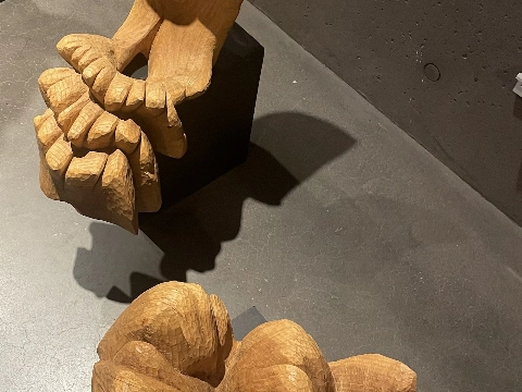 Friedie Kloen maakt golven uit bomen