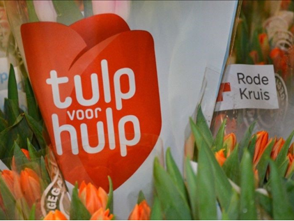 De actie Tulp voor Hulp heeft u nodig!