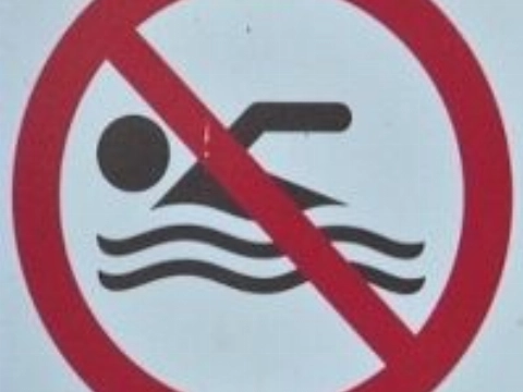 Oppassen voor blauwalgen in Krabbeplas